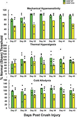 Pro-inflammatory cytokines and leukocyte integrins associated with chronic neuropathic pain in traumatic and inflammatory neuropathies: Initial observations and hypotheses